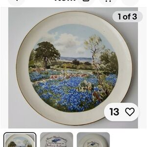 Vintage 1952 Porforio Salinas Blue bonnet 10” plate. Has some wear but in great